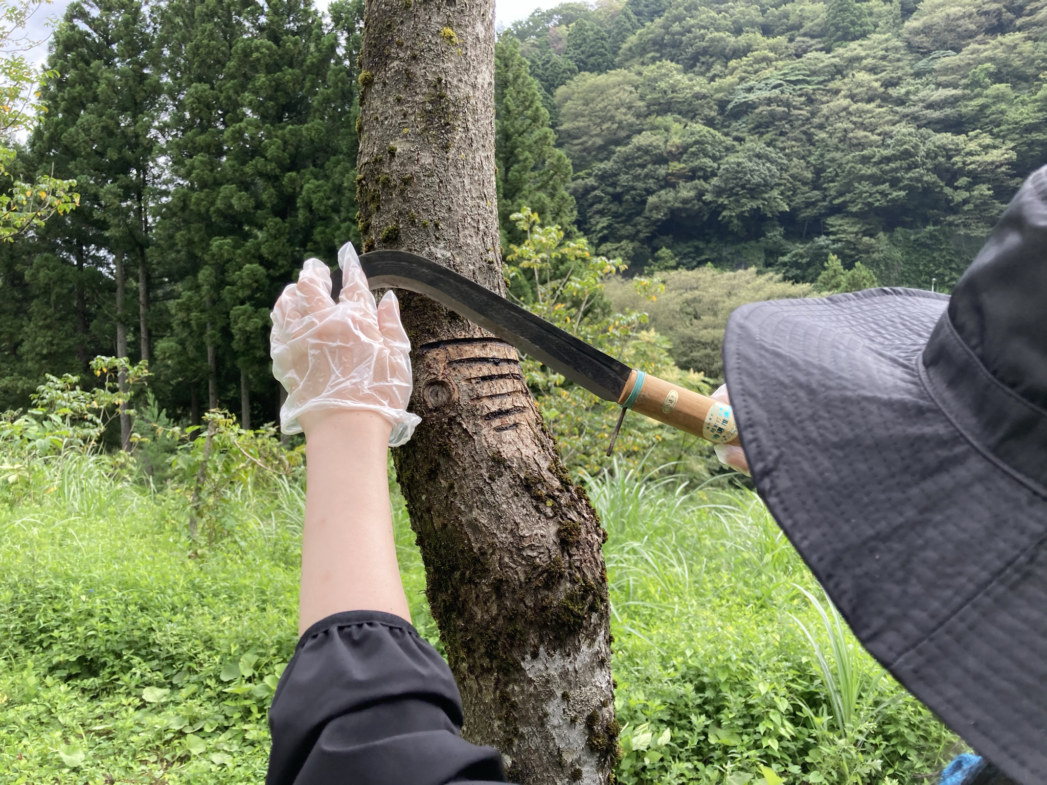 職人さんの使い込まれた漆桶.漆掻壺 【公式通販】