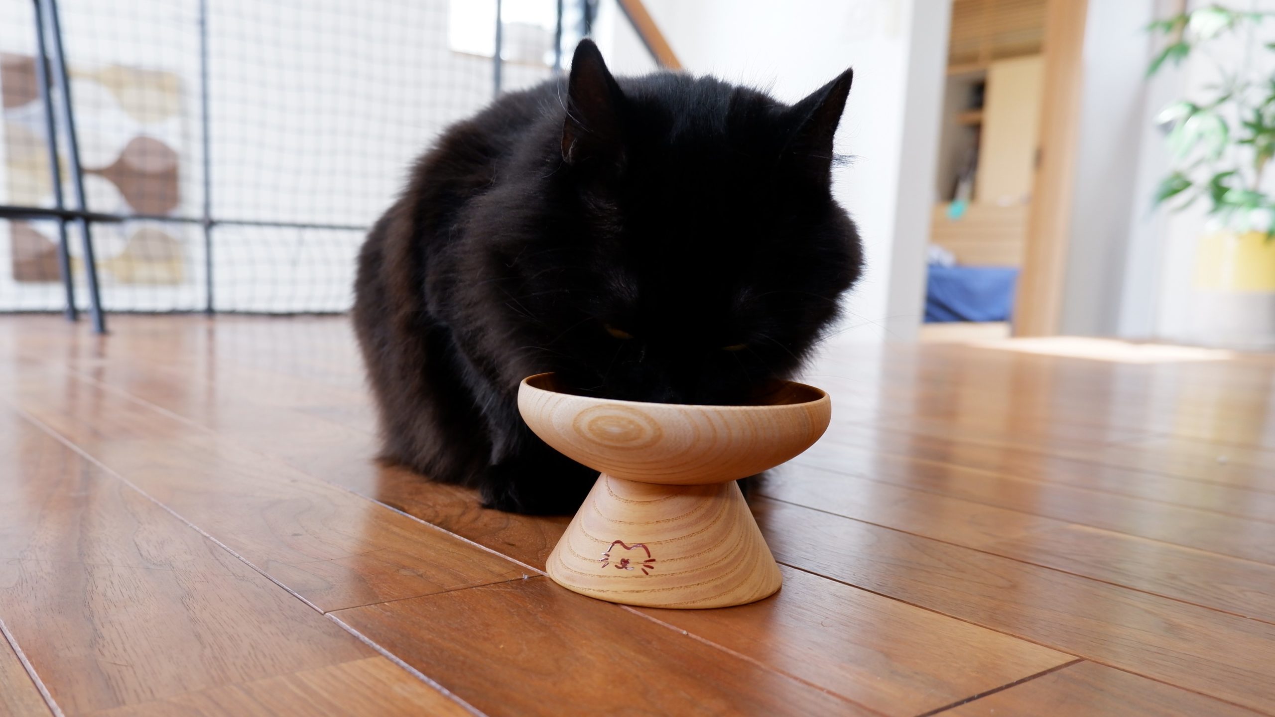 にゃんこ×守田漆器！新ブランド「ねっこ」をcreemaにてお披露目いたし